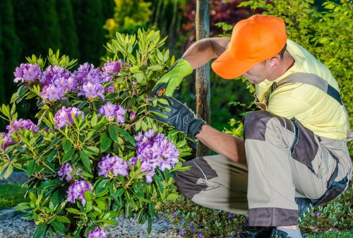 Insurance documentation and certificates for gardening company