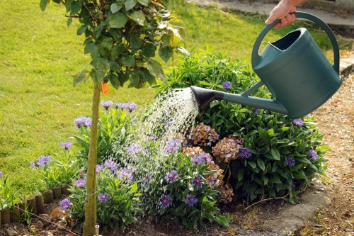 In a well-maintained garden in Putney, a person is watering a flower bed with a green watering can, aimed at vibrant purple and pink flowers. The flower bed is bordered by wooden edging and contains lush green foliage and flowering plants. Behind the flower bed, there is a small tree with green leaves and a textured trunk, along with a grassy lawn area that appears healthy and neatly trimmed. To the left, a rose or similar shrub with dense green leaves is visible, contributing to the garden's layered structure. The background shows a paved pathway or patio area, partially shaded, suggesting a well-planned outdoor space suitable for ongoing gardening and landscaping services. The scene captures an outdoor environment under natural daylight, with bright, clear weather, emphasizing the importance of regular lawn and garden maintenance, such as watering, trimming, and general care, which is relevant for professional gardening services in the Putney area.