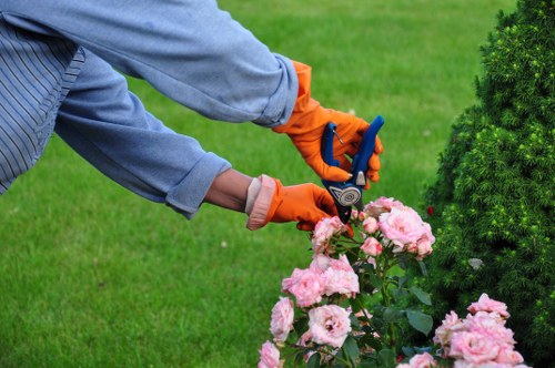 Seasonal garden maintenance in Putney