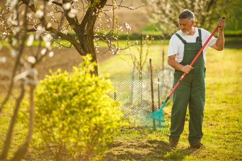 A middle-aged man in garden overalls is using a rake to clear debris from a grassy lawn in a backyard garden. The garden features a large flowering tree with budding blossoms and a neatly trimmed hedge in the foreground, alongside a small shrub with bright green foliage. The lawn area has a well-maintained, lush grass surface, and there is a paved patio section visible at the edge of the image. In the background, a wire fence surrounds the garden, beyond which are more trees and natural outdoor elements. The scene is illuminated by natural daylight, likely during spring, with warm sunlight casting soft shadows across the scene. This outdoor space is part of a residential garden in Putney, suitable for gardening services such as hedge trimming and lawn maintenance offered by Hedge Trimming Putney, connecting the natural environment with professional outdoor upkeep.